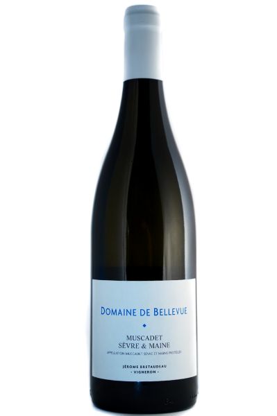 Picture of 2020 Domaine de la Pépière Muscadet Sèvre et Maine