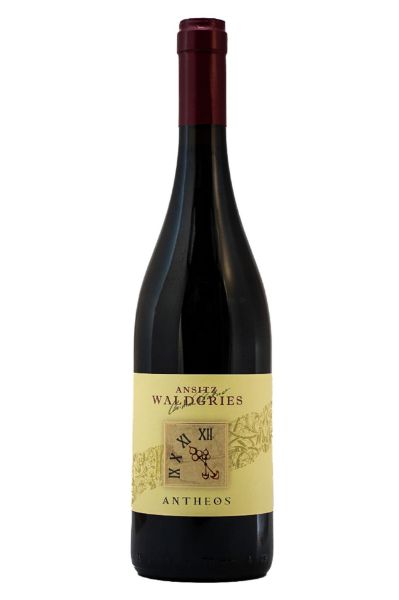 Picture of 2021 Waldgries Sudtiroler St. Magdalener Classico 'ANTHEOS’