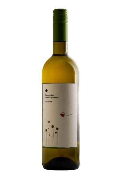 Picture of 2020 Cantina Roccafiore Umbria Fiordaliso