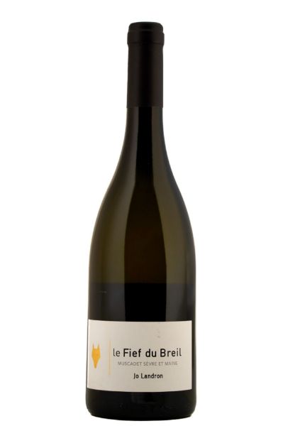 Picture of 2017 Jo Landron Muscadet Sevre et Maine 'Le Fief de Breil'