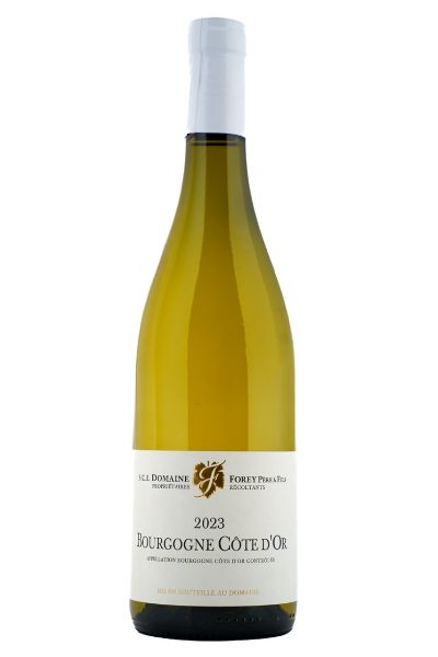 Picture of 2023 Domaine Forey Pere et Fils Bourgogne Blanc