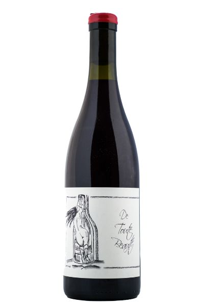 Picture of 2023 Anne and Jean-Francois Ganevat DE TOUTE BEAUTE Rouge