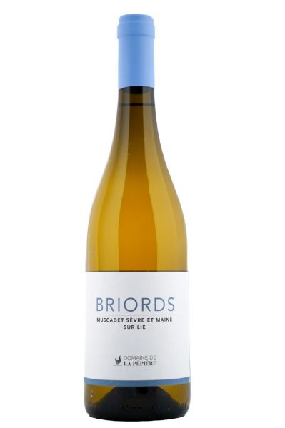Picture of 2024 Muscadet Sèvre et Maine 'Briords' Vieilles Vignes