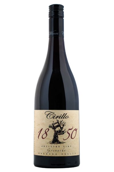 Picture of 2019 Cirillo Grenache 1850 Ancestor Vine