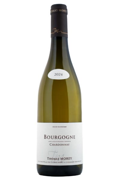 Picture of 2024 Thomas Morey Bourgogne Blanc
