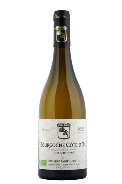 Picture of 2023 Fabien Coche Bourgogne Blanc